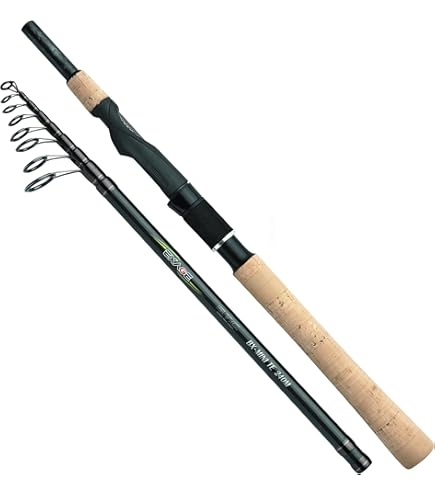 Amazon.com : Shimano Exage BX STC Spinning 9 Feet